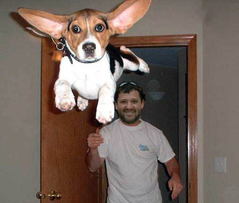 Tony Stewart Throws Puppy Tony Stewart, Tony Stewart Throws his Helmet at Matt Kenseth, Bristol Motor Speedway, funny pictures of NASCAR Drivers, funny pictures of Tony Stewart, Smoke,