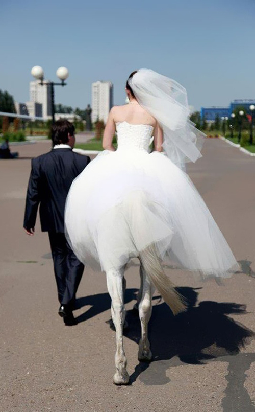 http://www.teamjimmyjoe.com/wp-content/uploads/2012/10/Funny-Wedding-Photos-Bride-Horse-Legs.jpg