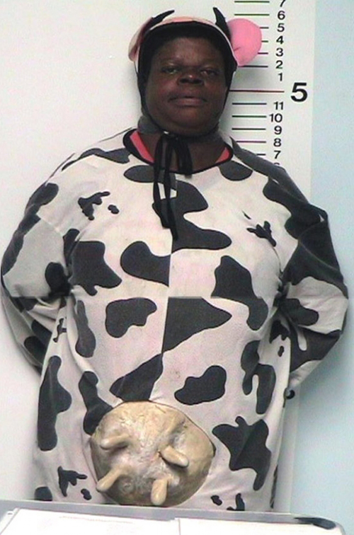 Arrested for breast feeding her kids in public... all 4 of them. woman dressed as cow Funny Mug shots, worst mug shots bad mug shots stupid criminals arrested busted awkward family photos stupid people funny pictures
