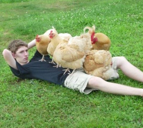 Cock-a-Doodle-Do! Boy with chickens Balls door knocker funny pictures weird pictures pics awkward family photos bad tattoos worst tattoos stupid people bad family photos funny family pics random strange
