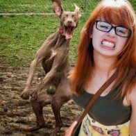 Photobomb Dog funny pictures awkward family photos worst tattoos bad tattoos horrible random pics strange bizarre wtf fail stupid people photobombs funny pictures awkward family photos worst tattoos bad tattoos horrible random pics strange bizarre wtf fail stupid people photobombs