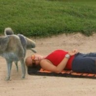 woman sleeping peeing dog on her funny pictures dumb crazy people awkward family photos worst tattoos bad tattoos horrible random pics strange bizarre wtf fail stupid people photobombs stupid humor redneck humor weird people pic dump people of walmart