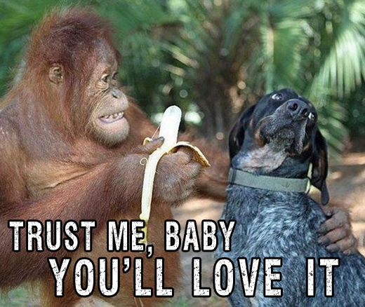 Trust-me.jpg