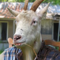 goat man redneck man Funny Pictures Random Humor Epic Fails worst family photos bad family photos weird worst tattoos bad tattoos stupid people crazy people funny names funny memes animal memes awkward goofy
