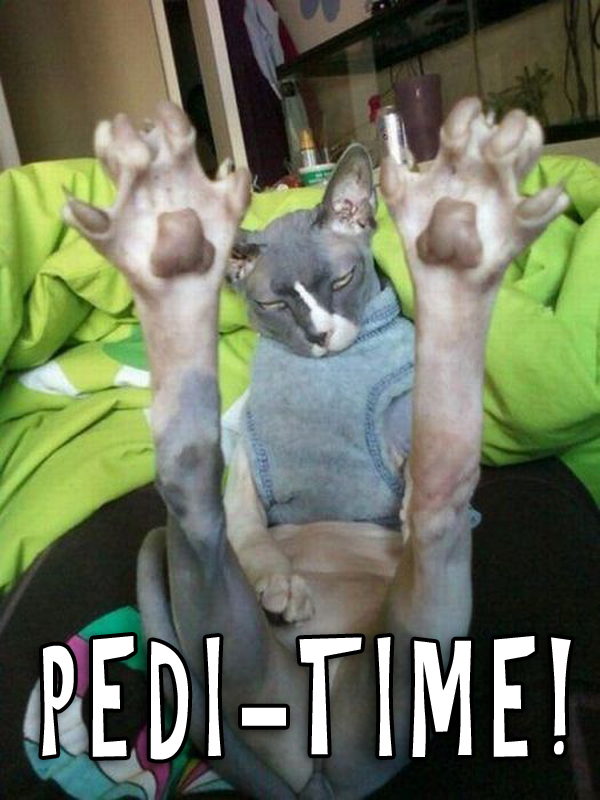 Funny Pictures: 18 More Random & Strange | Team Jimmy Joe Funny Pictures: 18 More Random & Strange | Team Jimmy Joe