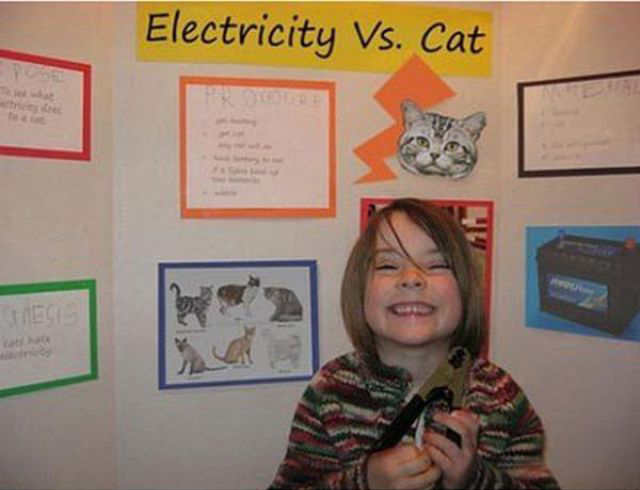 What are some science fair projects?