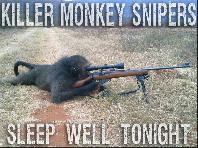 [Image: Killer-Money-Snipers.jpg]