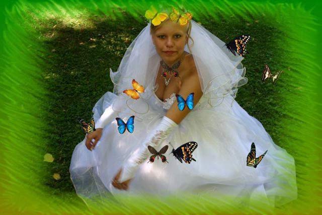 Views Videobabylon Russian Bride Wedding 55