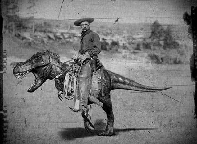 cowboy dino dig