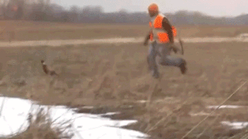 hunter-chasing-duck-bow-explosion.gif