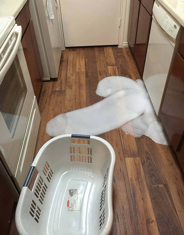 funny-pics-dishwasher-suds-penis.jpg