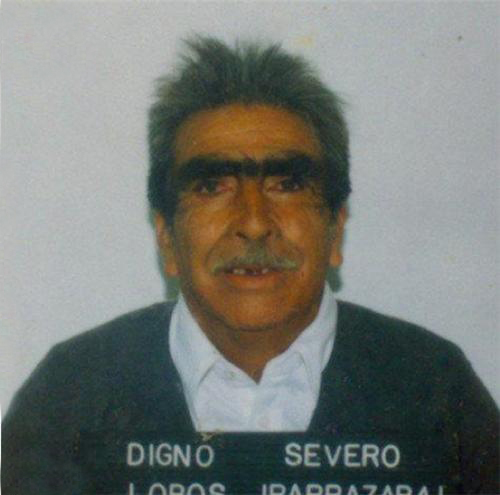 Worst Eyebrows Ever! Funny Eyebrows, Bad Eyebrows Fashion fails, bad makeup, terrible makeup, bad plastic surgery, funny pictures, stupid eyebrows, ghetto eyebrows, ghetto humor, WTF, horrible, bad tattoos, worst tattoos, awkward family photos, bad family photos, ellen, funny hairstyles, bad hair, worst hairstyles, unubrow 