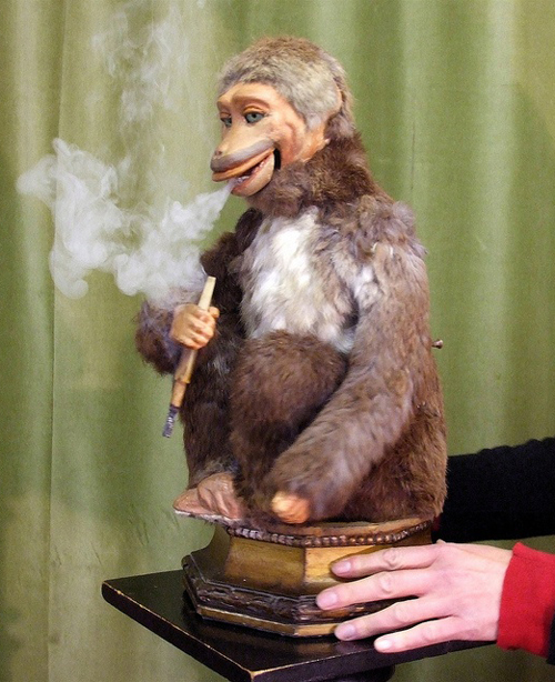 http://www.teamjimmyjoe.com/wp-content/uploads/2013/07/Smoking-Monkey.jpg