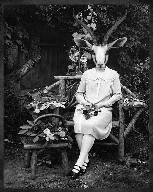 [Image: animal-head-vintage-weird-Favim.com-340740.jpg]