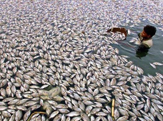 And You Think Your Job Sucks? – 25 of the Worst Jobs Ever
