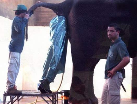 And You Think Your Job Sucks? – 25 of the Worst Jobs Ever
