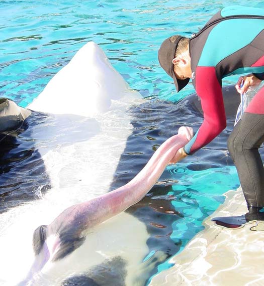 And You Think Your Job Sucks? – 25 of the Worst Jobs Ever