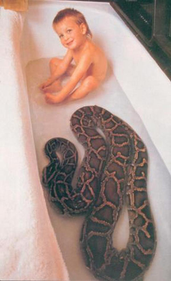 baby and snake boa python in bathtub together ~ Worst Parents Ever