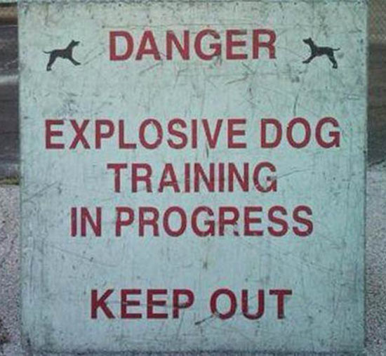 Image result for crazy signs