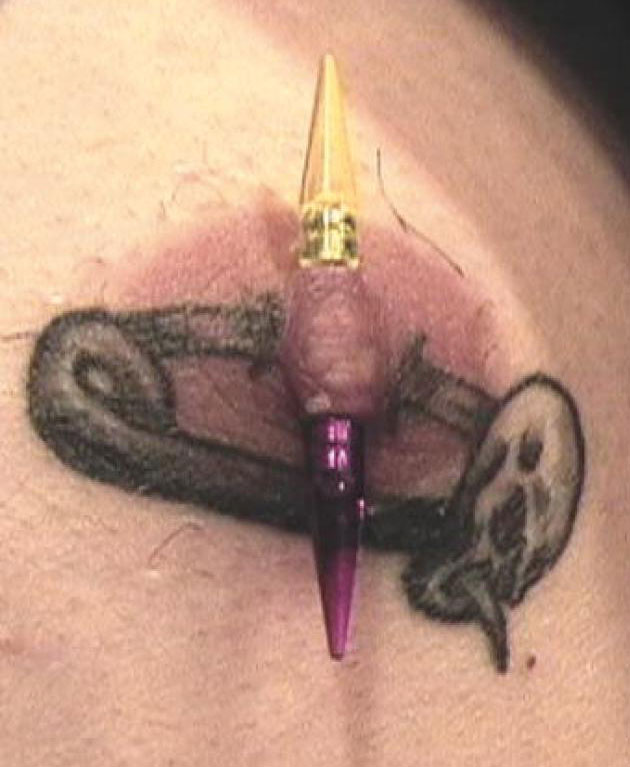 Bilderesultat for wtf nippel tattoos