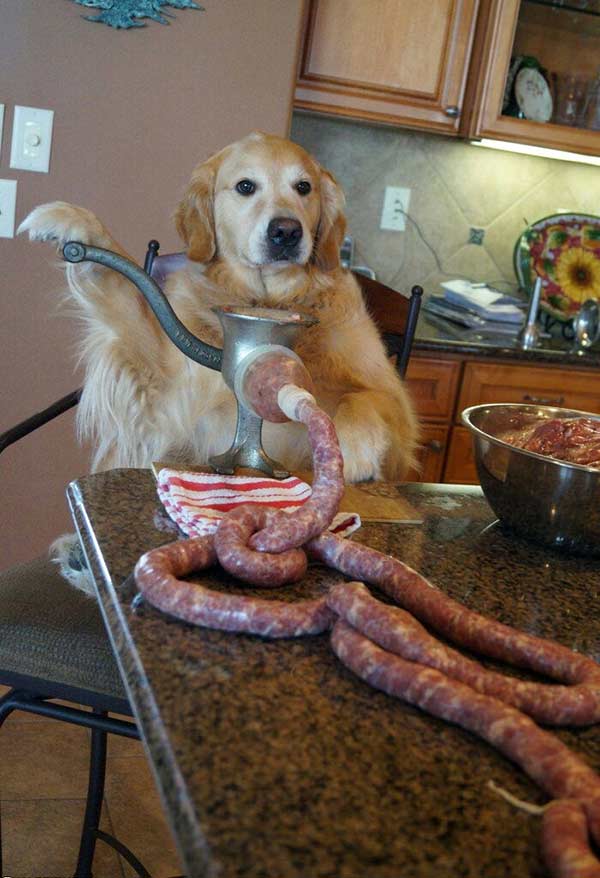 [Image: dog-making-sausage.jpg]